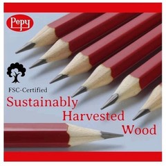 Pepy Graphite Professional Drawing Pencil Set of 12 HB Pre-Sharpened Pencils