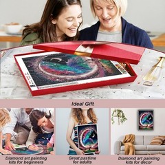 Starry Sky Diamond Painting Kits for Adults,Moon Diamond Art for Beginners, 5D D