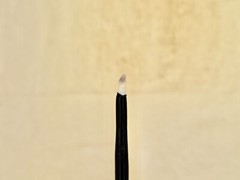 Traditional Bream Tooth Polishing (Burnishing) Tool – For Japanese Kintsugi