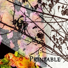 12×360 Inch Artist Teabag Paper Mixed Media Wet Strength Tissue Printmaking