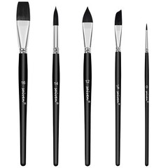 Watercolor Brush Set Professional 5 pcs Flat Angle Dagger and Round Paint Bru…