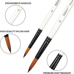 12 PCS Round Paint Brushes Set, Artist Brush for Acrylic Watercolor Oil Painting