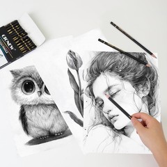 Professional Sketching Pencil Drawing 14 PCS Graphite 12B5H Art Shading
