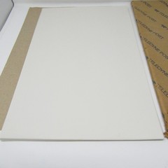 Teledyne Post Drafting Film 50 Sheets Polyester 11 x 17 18T3 + 20 Adhesive Film