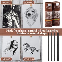 60 PCS Willow Charcoal Sticks Assorted Sizes Sketching Drawing Shading Art