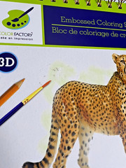 Color Factory 3D Embossed Coloring Sketch Pad 24 Sheets Tropicana Tropical Art