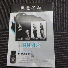 KOYO Orient Japan MUSOU BLACK Paint 1L Ultra Matte Acrylic Model Art Doll Brush