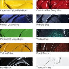 Winton Oil Paint Starter Set – 10x37ml Tubes, Perfect for Creative Expression