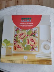 Mondo Llama Paint-by-number Framed Canvas Kit Cactus Flowers New