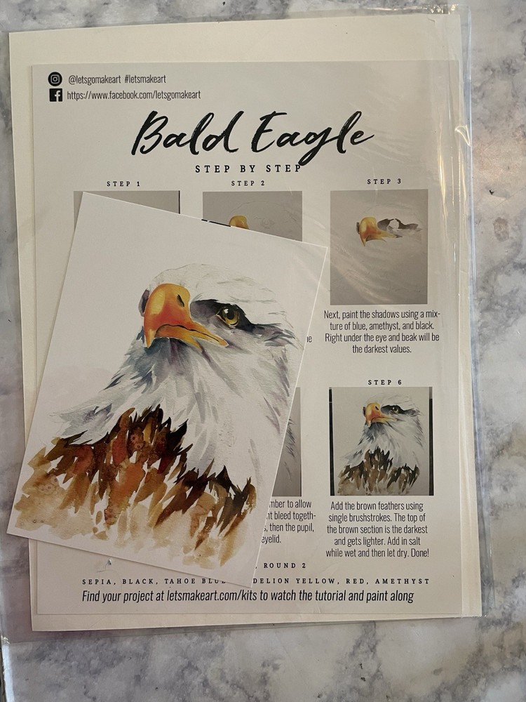 Let’s Make Art Sarah Cray Watercolor Tutorial Project Bald Eagle
