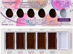 GANSAI TAMBI GRANULATING COLOR 5 colors set, Watercolor Paint Set, Profession…