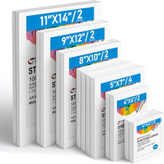 Canvas for Painting, 14 Pcs Muti Pack Stretched Painting Canvas, Blank Paint Can