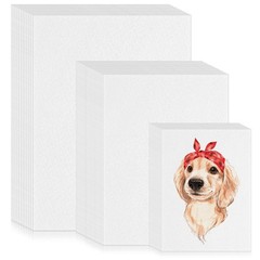 300 Sheets 3 Sizes Painting Paper 90lb/160gsm White 5×7 6×9 9×12 Inch Artist