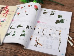 Chinese Brush Ink Art Painting Sumi-e Draw Painting How to Draw Flower Book