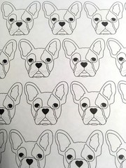 Adult Travel (Purse) Size Coloring Books Animals to Color on the Go – Brand New