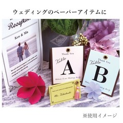 Canson color drawing paper Mitant graphite A4 10 sheets 321-705P