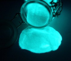 Glow in the Dark Pigment powder Statues Masks Costume Decor Nail