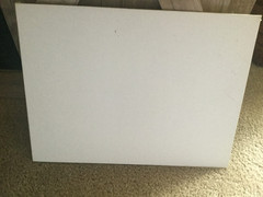 Tara Fredrix Hard Paint Panel 9″ X 12″ Made in USA White Color Rectangle Shaped