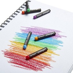 60-Piece Vibrant Oil Pastels Set for Artists & Students