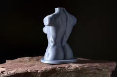 Planar Head, with Male & Female Torso — Art Reference Collection