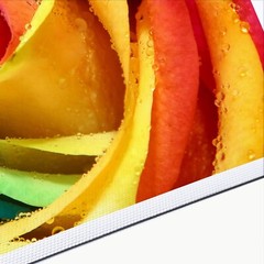 Canvas Roll 36”x100′ Premium Matte 290gsm Waterproof Polyester Painting Canvas