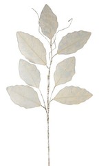 Magnolia Leaf Spray 31.5″H (Set of 12) Paper