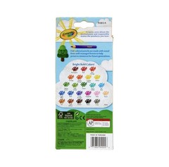Crayola Colored Pencils 24 Count Pre Sharpened Assorted Colors