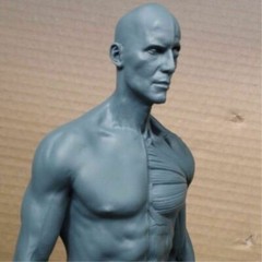 30cm Human Anatomical Anatomy Skull Head Body Muscle Bone Resin Model Draw Decor