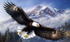 Masterpiece By Numbers “American Anthem” Eagle Paint by Numbers Kit