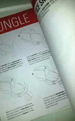 iDraw Jungle Animals Easy Step by Step Tutorials Intermediate & Advanced Level.