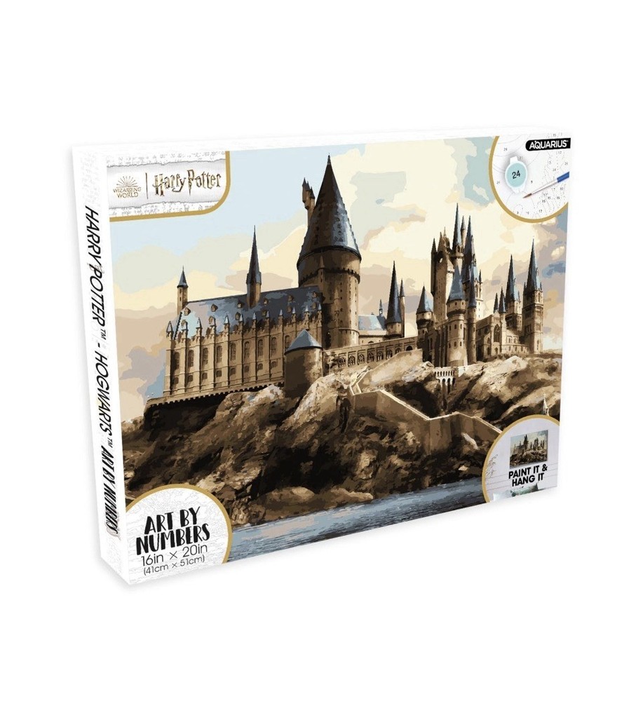 Harry Potter Paint by Number Kit 16×20 Art Craft Set for Beginners – NEW