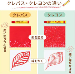 Sakura Cray-Pas 24 Colors