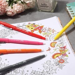 Vibrant 5 Pack Felt Tip Pens – Fast Dry, No Smear Planner Markers