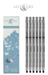 12Pcs Set Lotory Charcoal Pencil Black bold carbon core Peel and Sketch Charcoal