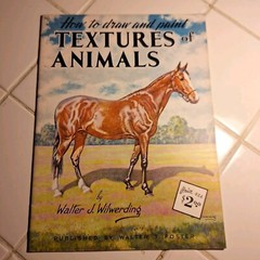How To Draw And Paint Textures Of Animals W J Wilwerding Foster Art Books # 90