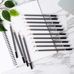 Versatile 14-Piece Professional Graphite Pencils for All Your Artistic Needs