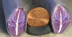Polymer clay cane, purple eyes feather cane, raw ready to use.