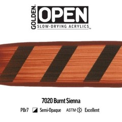 OPEN Slow-Drying Acrylics by GOLDEN Burnt Sienna 5 fl oz. tube Professional A…