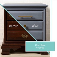 Waverly Inspirations Chalk Paint, Ultra Matte,Silver Lining,8 fl oz,Easy Cleanup