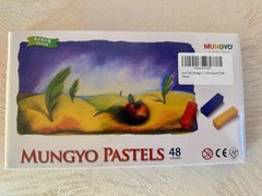MUNGYO 48 Soft Pastel Square Chalk NEW