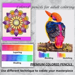 Set of 120 Soft Core Colored Pencils for Artists – Non-Toxic & Vibrant