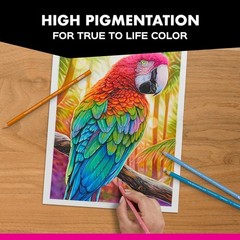 48 Count Premier Colored Pencils – Durable, Non-Toxic Art Essentials for Adults