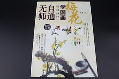 Self-Study Chinese Brush Ink Painting Sumi-e How To Draw Plum Blossom Books