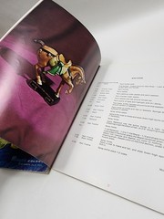 Mayco Colors Stain Techniques Volume 1 & Vol. 2 – 65 Page Per Book Lot