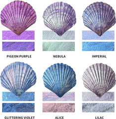 Metallic Acrylic Paint Set,2 Ounces X 6 Assorted Colors, Iridescent Purple and B
