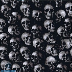 HD-SKL301 Mini Real Skulls (50cm)
