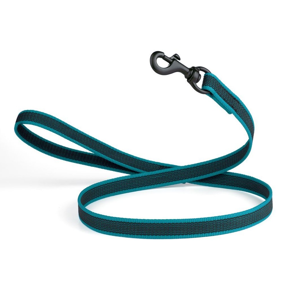 Rubber Infused Nylon Leash W3/4″ x L 4′ Teal