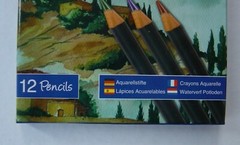 12 Watercolour Pencils Artist Drawing Painting Sketching Art Water Colour pencil