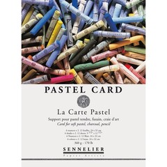 Sennelier La Carte Pastel Pad, 9 x 12, Multi
