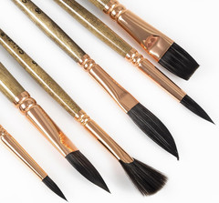 Sable Watercolor Brushes – 6Pcs Professional Paint Brushes for Artist round Tip,